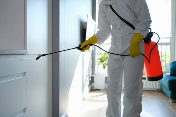 Best Crawl Space Mold Removal  in Obetz, OH