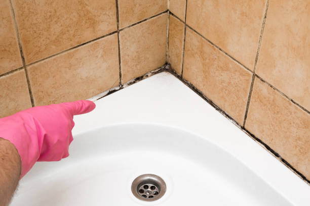 Best Mold Remediation  in Obetz, OH